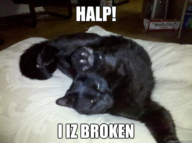 halp! I iz broken  Broken cat