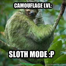 Camouflage Lvl:  Sloth mode :p  