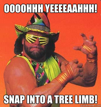 OOOOHHH YEEEEAAHHH! SNAP INTO A TREE LIMB! - OOOOHHH YEEEEAAHHH! SNAP INTO A TREE LIMB!  Macho Man For President