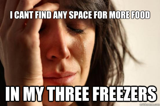 I cant find any space for more food in my three freezers  First World Problems