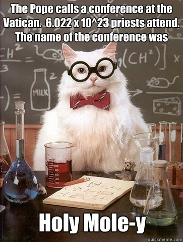 The Pope calls a conference at the Vatican.  6.022 x 10^23 priests attend.  The name of the conference was Holy Mole-y  Chemistry Cat