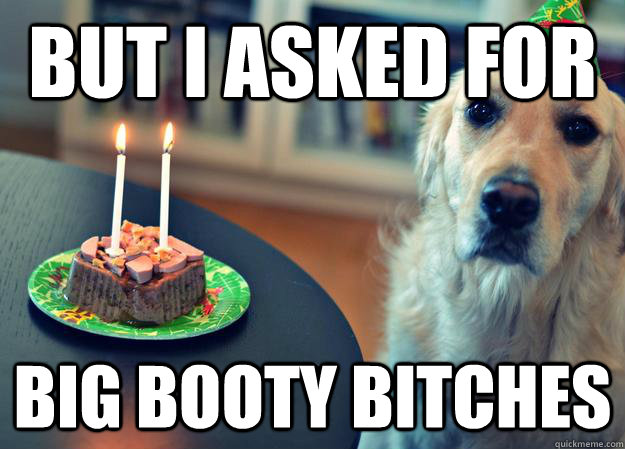 But i asked for Big booty bitches - But i asked for Big booty bitches  Sad Birthday Dog