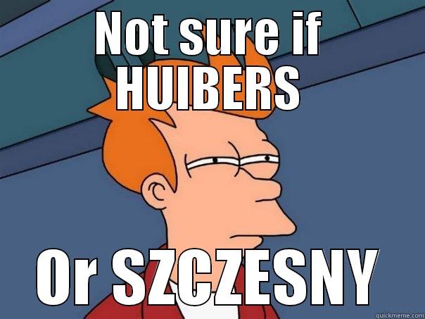NOT SURE IF HUIBERS OR SZCZESNY Futurama Fry