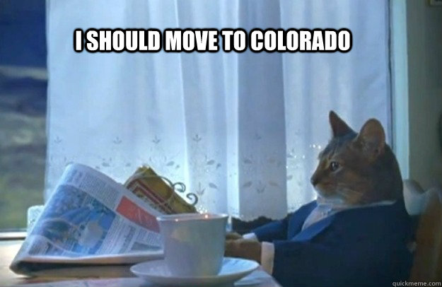 i should move to colorado  Sophisticated Cat