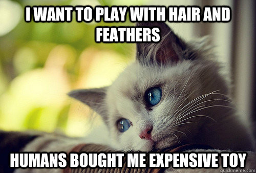 i want to play with hair and feathers humans bought me expensive toy  First World Problems Cat