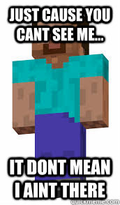 just cause you cant see me... it dont mean i aint there  minecraft herobrine