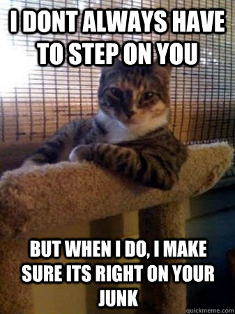 I dont always have to step on you but when I do, i make sure its right on your junk  The Most Interesting Cat in the World