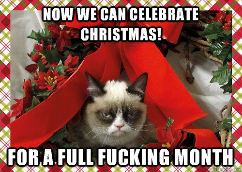 now we can celebrate christmas! for a full fucking month - now we can celebrate christmas! for a full fucking month  A Grumpy Cat Christmas