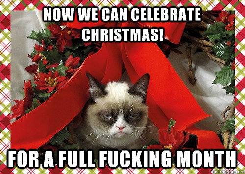 now we can celebrate christmas! for a full fucking month  A Grumpy Cat Christmas