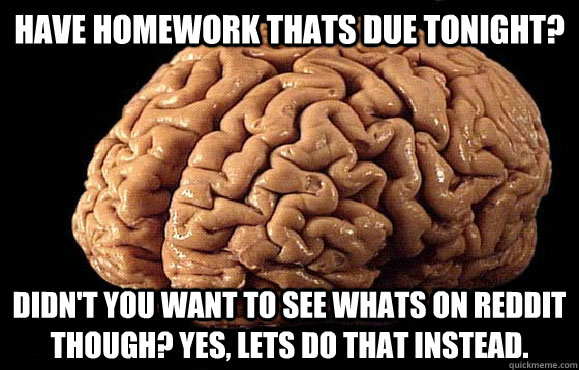 Have homework thats due tonight? Didn't you want to see whats on reddit though? Yes, lets do that instead.  Asshole Brain