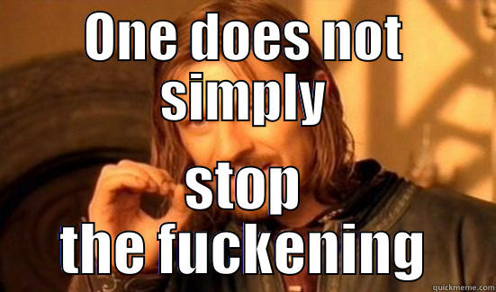 ONE DOES NOT SIMPLY STOP THE FUCKENING Boromir
