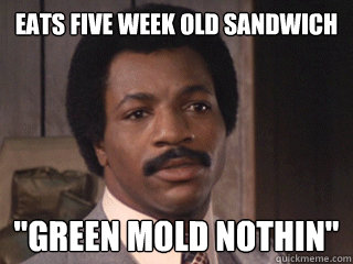 eats five week old sandwich 