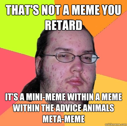 That's not a meme you retard It's a mini-meme within a meme within the advice animals meta-meme  Butthurt Dweller