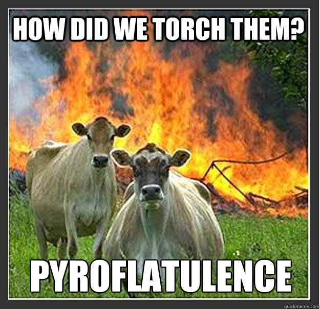 How did we torch them? pyroflatulence
  Evil cows