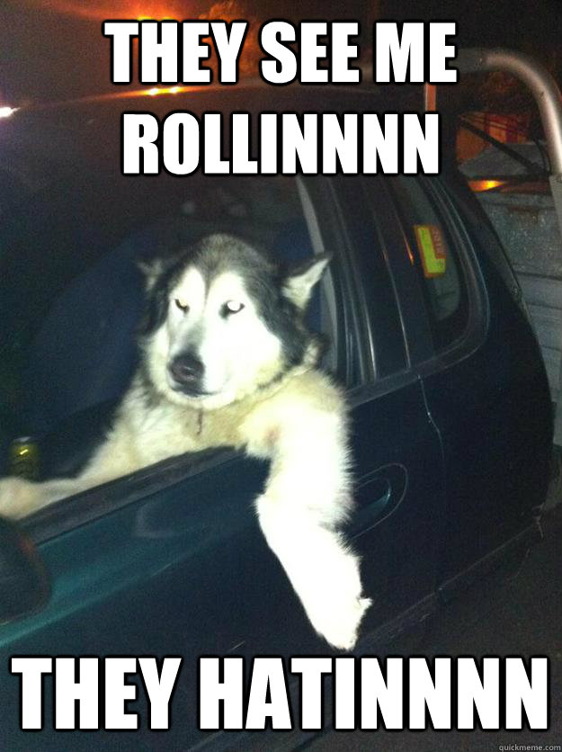tHEY SEE ME ROLLINNNN tHEY hATINNNN  Mean Dog