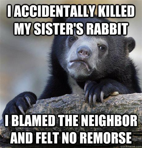 I accidentally killed my sister's rabbit I blamed the neighbor and felt no remorse  Confession Bear