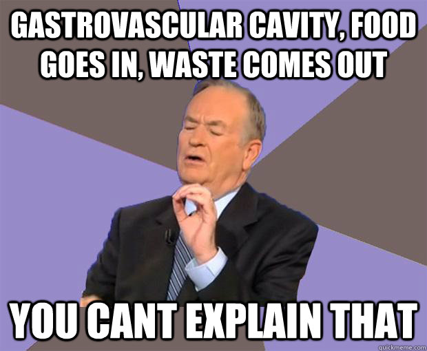 Gastrovascular Cavity, Food goes in, waste comes out You cant explain that  Bill O Reilly