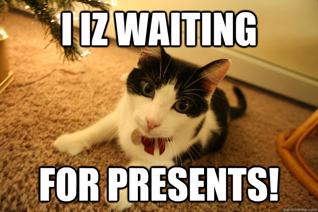 I iz waiting  For presents! - I iz waiting  For presents!  Cute Kittay!