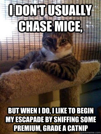 I don't usually chase mice, but when I do, I like to begin my escapade by sniffing some premium, Grade A catnip  The Most Interesting Cat in the World