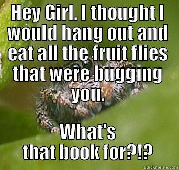 HEY GIRL. I THOUGHT I WOULD HANG OUT AND EAT ALL THE FRUIT FLIES THAT WERE BUGGING YOU. WHAT'S THAT BOOK FOR?!? Misunderstood Spider