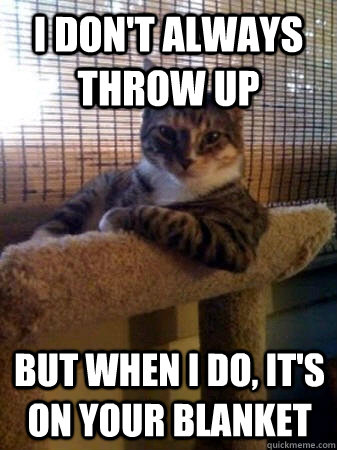 i don't always throw up but when i do, it's on your blanket  The Most Interesting Cat in the World