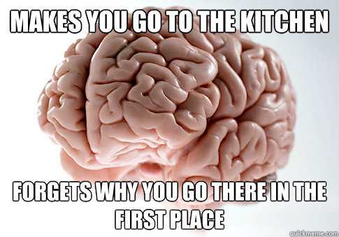 makes you go to the kitchen forgets why you go there in the first place  Scumbag Brain