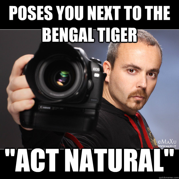 Poses you next to the bengal tiger 
