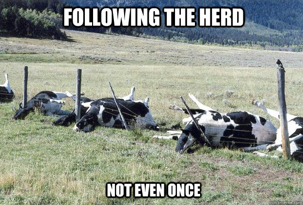 Following the Herd Not even once - Following the Herd Not even once  Misc
