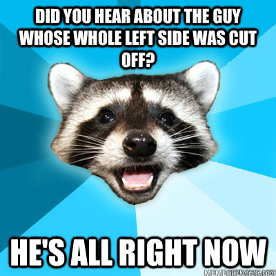 Did you hear about the guy whose whole left side was cut off?  He's all right now  Lame Pun Raccoon