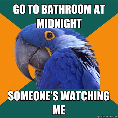 go to bathroom at midnight someone's watching me  Paranoid Parrot