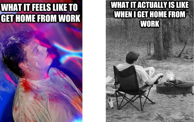 What it feels like to get home from work what it actually is like when i get home from work  work sucks