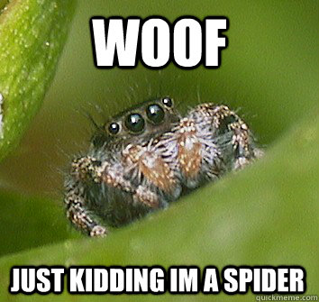 woof just kidding im a spider  Misunderstood Spider