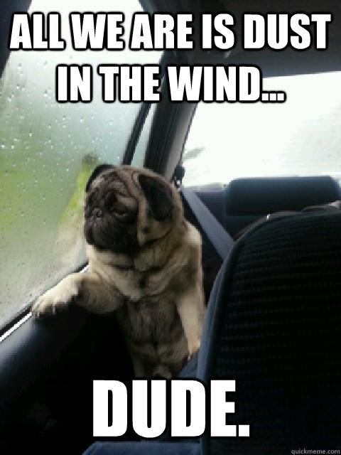 All we are is dust in the wind... Dude. - All we are is dust in the wind... Dude.  Introspective Pug
