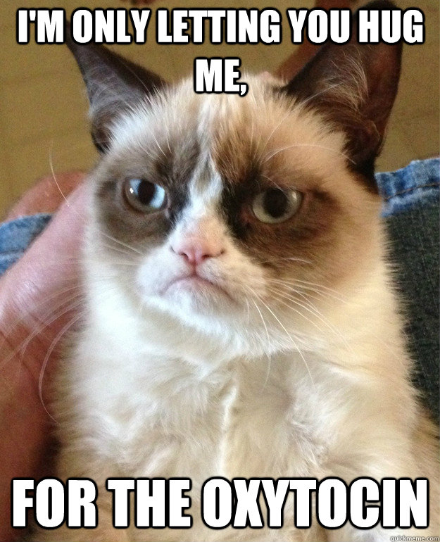 I'm only letting you hug me, for the oxytocin  Grumpy Cat