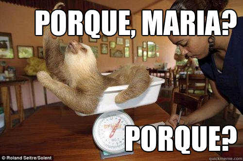 ¿Porque, Maria? ¿Porque? - ¿Porque, Maria? ¿Porque?  Dramatic Sloth