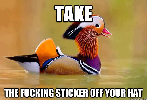 take the fucking sticker off your hat  Fabulous Advice Mandarin