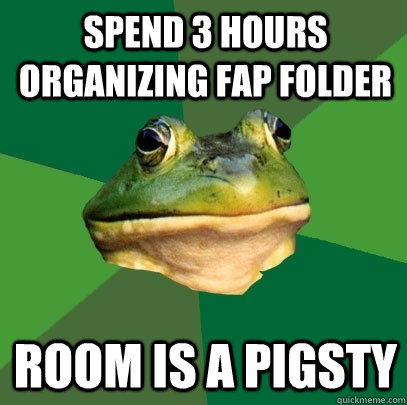 Spend 3 hours organizing fap folder room is a pigsty  Foul Bachelor Frog