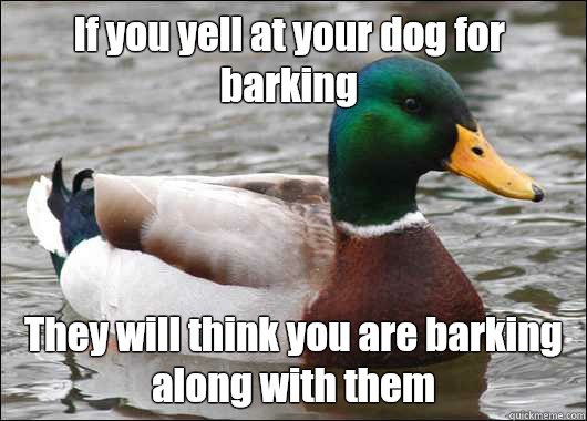 If you yell at your dog for barking They will think you are barking along with them   Actual Advice Mallard