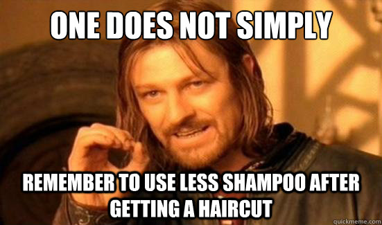 One Does Not Simply remember to use less shampoo after getting a haircut  Boromir