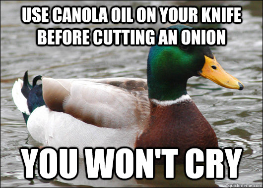 Use Canola oil on your knife before cutting an onion you won't cry - Use Canola oil on your knife before cutting an onion you won't cry  Actual Advice Mallard