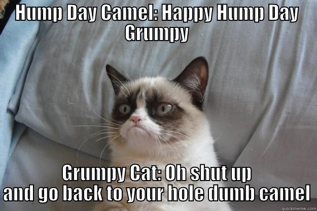 HUMP DAY CAMEL: HAPPY HUMP DAY GRUMPY GRUMPY CAT: OH SHUT UP AND GO BACK TO YOUR HOLE DUMB CAMEL Grumpy Cat
