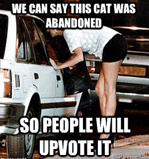 we can say this cat was abandoned  so people will upvote it   Karma Whore