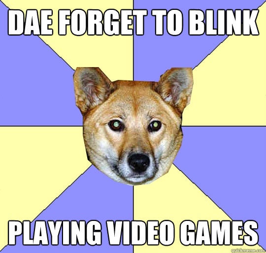 DAE forget to blink playing video games - DAE forget to blink playing video games  DAE Dingo