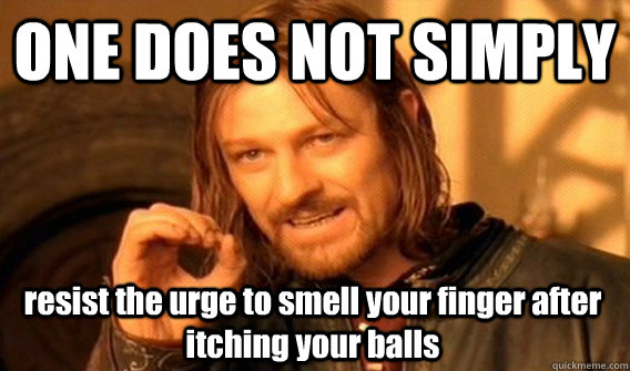 ONE DOES NOT SIMPLY resist the urge to smell your finger after itching your balls  One Does Not Simply