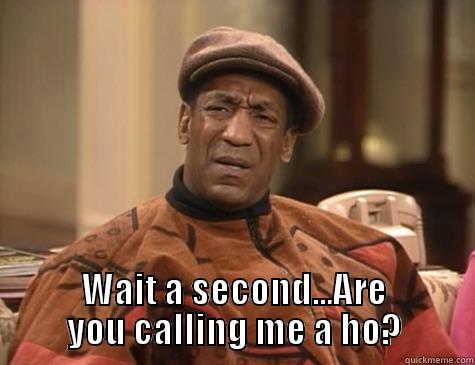 calling me a ho -  WAIT A SECOND...ARE YOU CALLING ME A HO? Misc