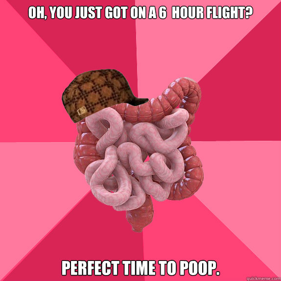 Oh, you just got on a 6  hour flight? Perfect time to poop.  Scumbag Intestines