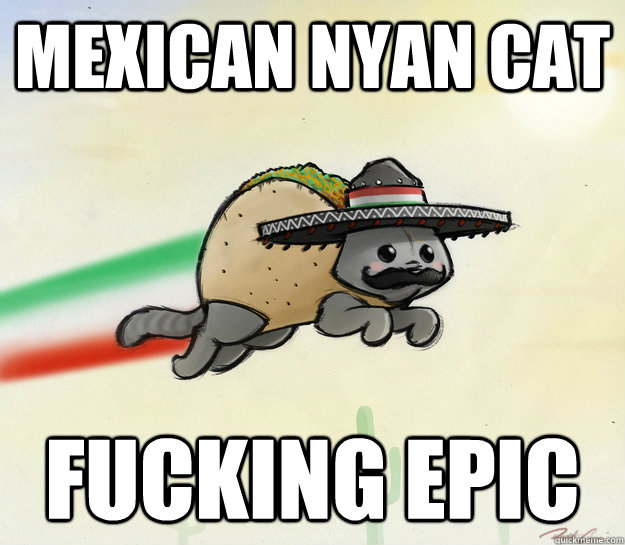 mexican nyan cat fucking epic - mexican nyan cat fucking epic  epic mexican nayan cat