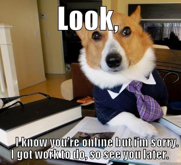 LOOK,                I KNOW YOU'RE ONLINE BUT I'M SORRY. I GOT WORK TO DO, SO SEE YOU LATER. Lawyer Dog