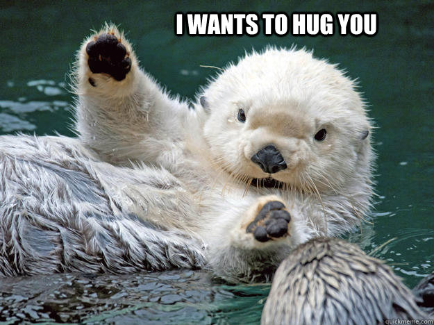 i wants to hug you - i wants to hug you  hugging otter