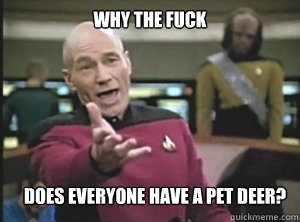 why the fuck Does everyone have a pet deer?  Annoyed Picard